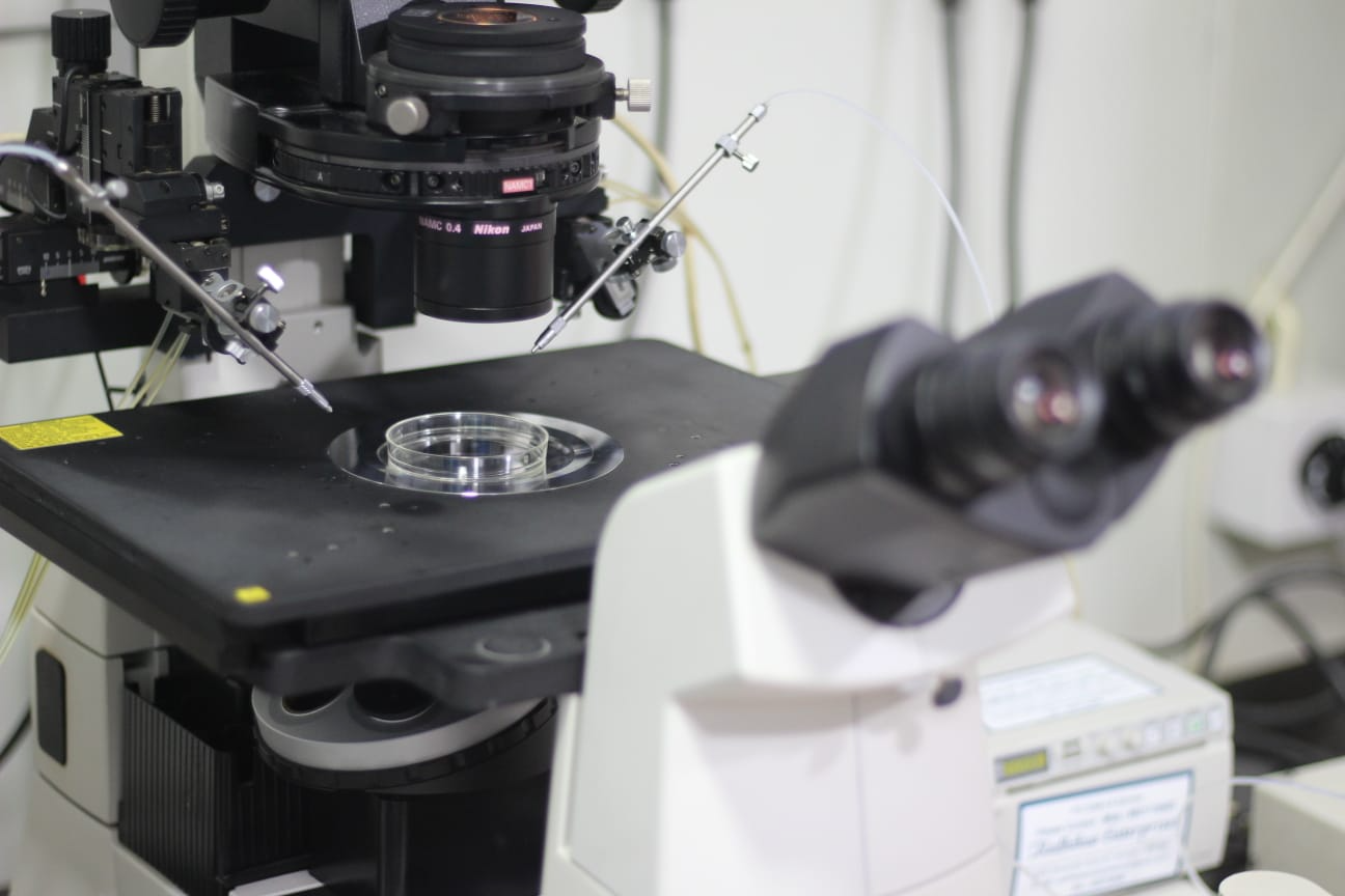 ivf-treatment-process