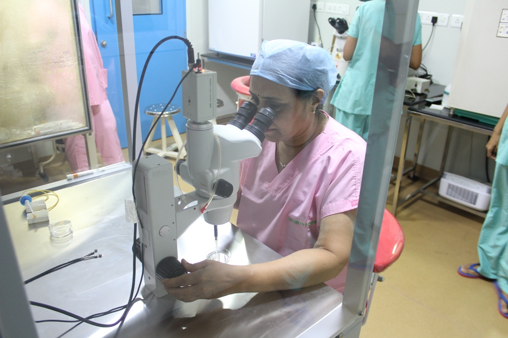 IVF Treatment Process