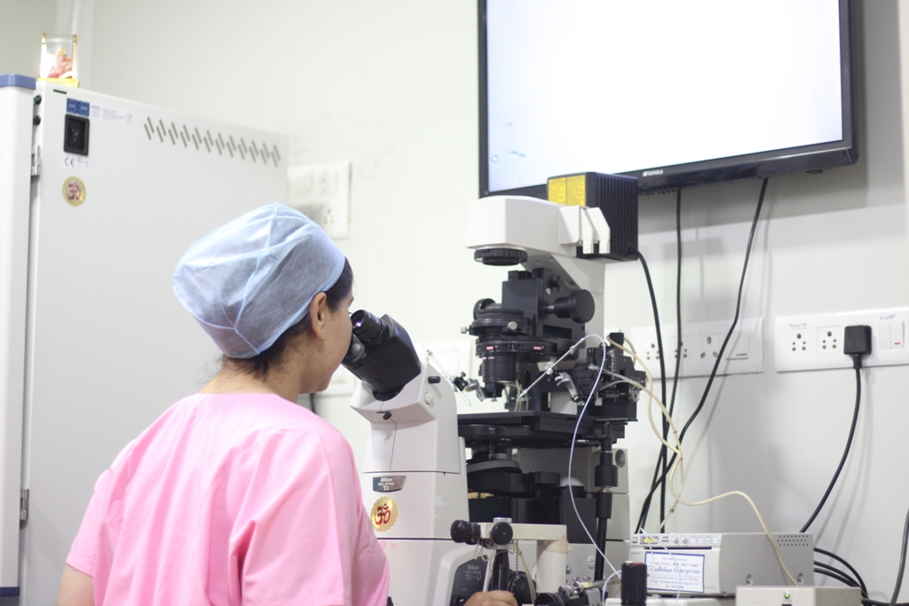 IVF Treatment Process
